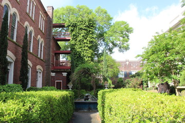 Hedges in Southern Home