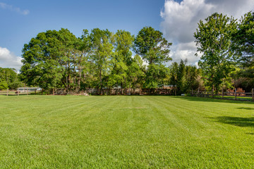 Fototapeta premium Neatly trimmed field with trees surrounding