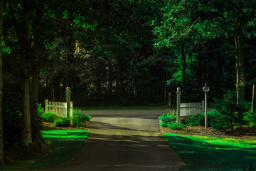 Driveway on a yellow sunny daysurounded by green trees and plants 