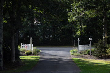 Driveway on a yellow sunny daysurounded by green trees and plants 2