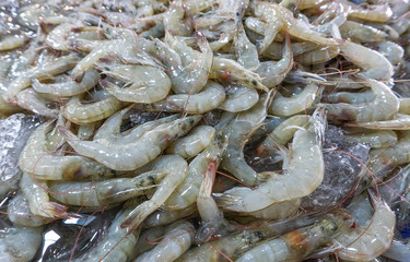 Fresh shrimp on ice at seafood supermarket,raw for cooking,steam or grill