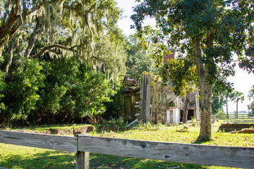 Cumberland Islande Ruins with Spanish Moss and Tall Trees