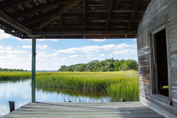 View of Marshland from Wooden Dock with Trees and Blue Sky