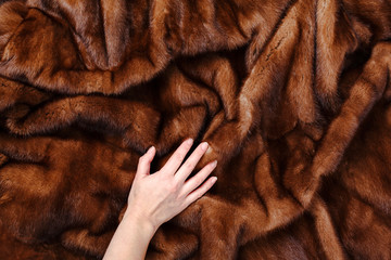 Brown fur mink background texture.  Fashion concept
