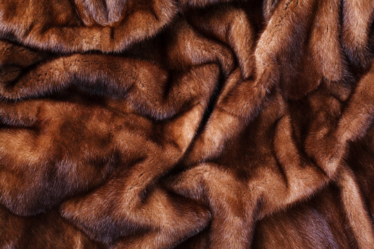 Brown fur mink background texture