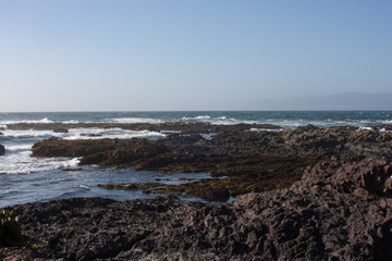 Coast line in Fort Bragg, Northern California