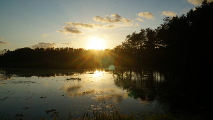 Louisiana swamp sunset and silhouettes