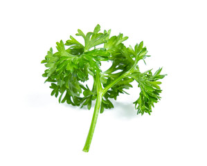 Parsley isolated on white background