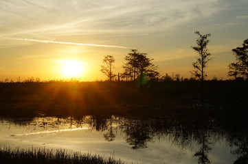 Louisiana swamp sunset and silhouettes