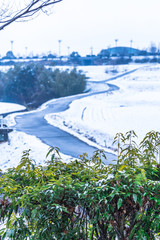 雪の日こそ近くの公園を歩いてみようよ。