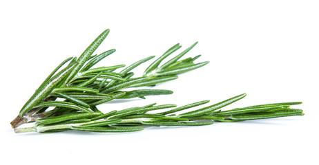 Fototapeta premium rosemary isolated on white background (Mix, set , collection)
