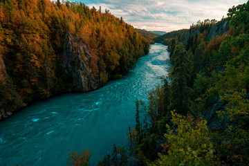 Kenai River flowing blue among Alaska's autumn colors  - obrazy, fototapety, plakaty
