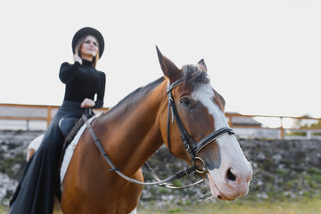Obraz premium Young woman physiotherapist taking care a brown horse. Woman making a treatment in the shoulder, crest, forehead, muzzle and chin groove.