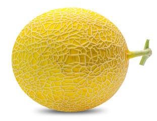 yellow melon cantaloupe  fruit isolated on white background