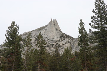 Yosemite and surrounds