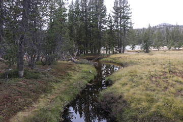 Yosemite and surrounds