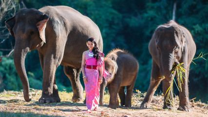 Thai Woman In Traditional Costume Of Thailand and elephant