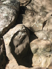 Old volcanic rock in dappled light in Kohala on the Island of Hawaii