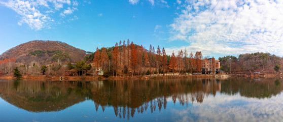 도시야경 및 풍경