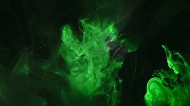 Paint brush is place in water. The artist draw picture. Paintbrush with acrylic green ink dipped in liquid. Real visual effect fraction in form of cloud video magic and spray in liquid by drop.