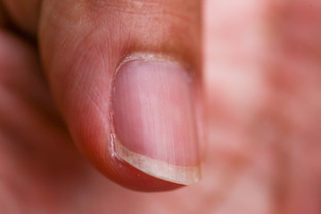 close up nail