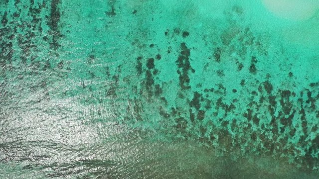 Sea water texture with beautiful pattern of coral reefs thriving under clear water, reflecting sunlight on seashore of tropical island in Fiji