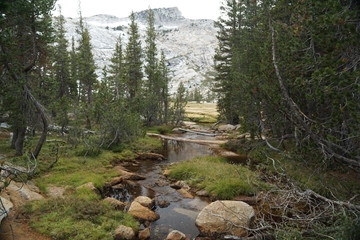 Yosemite and surrounds