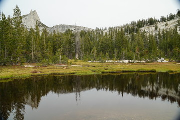 Yosemite and surrounds