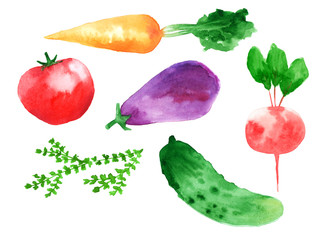 Hand Drawn Isolated Watercolor Illustration of Vegetables. Perfect for meny, greeting card.