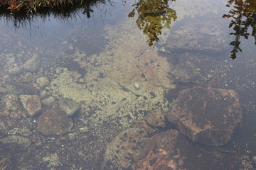 Yosemite and surrounds