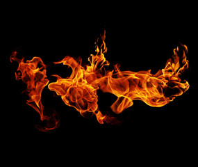 Fototapeta premium Fire burning flames on a black background