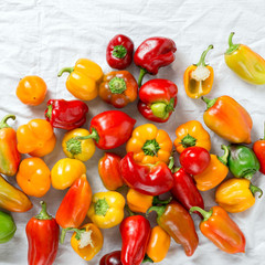 Assortment of fresh homemade pepper on white background