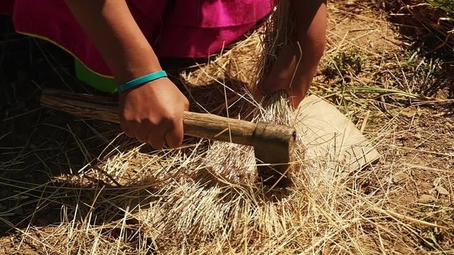 hard working woman cutting thatch
