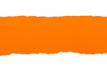 White paper with torn edges isolated with a bright orange color paper background inside. Good paper texture