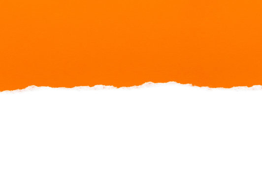 White paper with torn edges isolated with a bright orange color paper background inside. Good paper texture