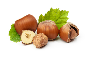 Hazelnut nut many leaves isolated on a white background as a packaging design element