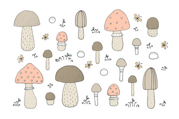 The drawing - set with forest mushrooms and hand drawn elements.
