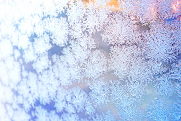 Design of fairy tale forest with snowfall