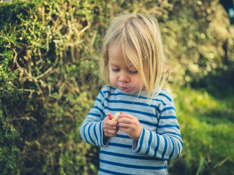 Toddler eating apple in a garden