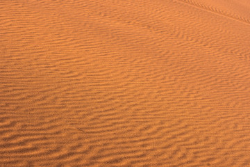 Wave of sand dune desert texture.