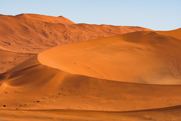 Beautiful landscape of orange sand dune desert at Namib desert in Namib-Naukluft national park Sossusvlei in Namibia.