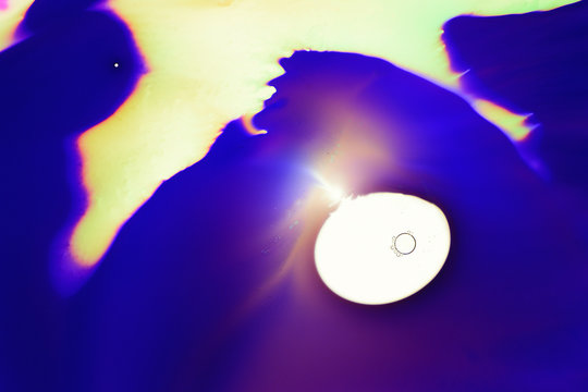 Macro photography of colorful fluids