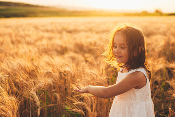 Portrait of a cute little girl running and touching wheat smiling in a field of wheat against...