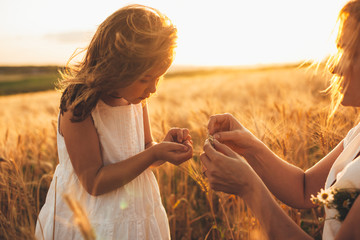 Lovely little girl holding wheat grain with her mother in a field of wheat against sunset.