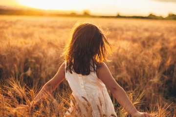 Rückansicht eines hübschen kleinen Mädchens, das in einem Weizenfeld spazieren geht und Weizen mit den Händen gegen Sonnenuntergang berührt.