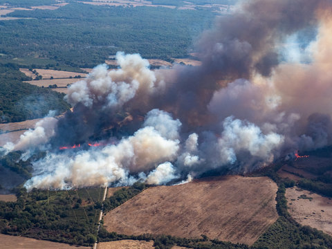 vue a&eacute;rienne de feux de for&ecirc;t pendant la s&egrave;cheresse en France dans le d&eacute;partement de l'Indre