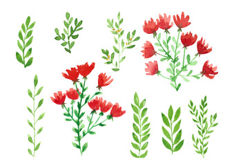 Fototapeta na wymiar Watercolor illustration, simple red wild flower, green twigs. On a white background, isolated, with stains, children's drawing, set.
