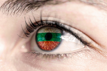 Fototapeta na wymiar Flag of bulgaria reflects in woman green eye - close-up view - election, sport, hope, young, generation 