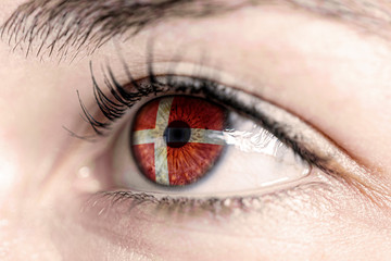 Flag of denmark reflects in woman green eye - close-up view - election, sport, hope, young, generation	 - 306847553