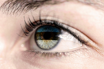 Fototapeta na wymiar Flag of estonia reflects in woman green eye - close-up view - election, sport, hope, young, generation 